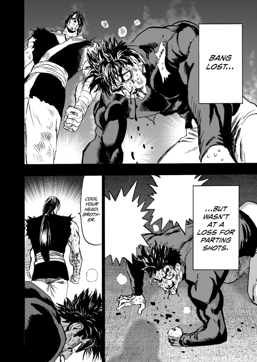 Read One-Punch Man (Official) chapter 155 image 24 on Lezhin