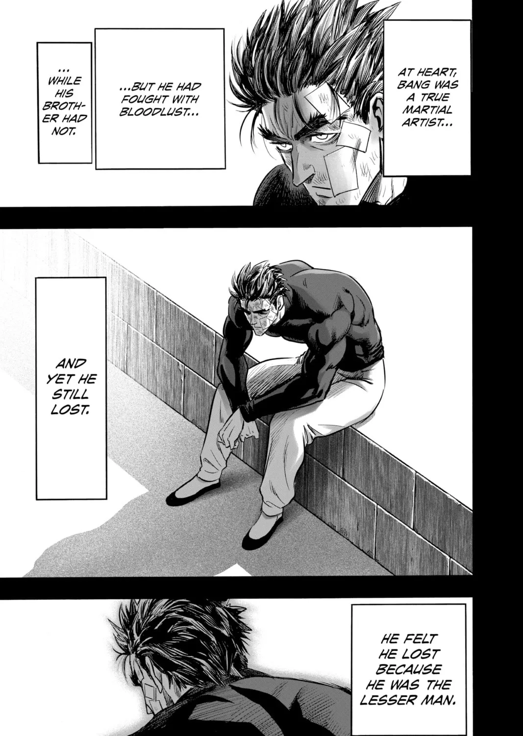 Read One-Punch Man (Official) chapter 155 image 26 on Lezhin