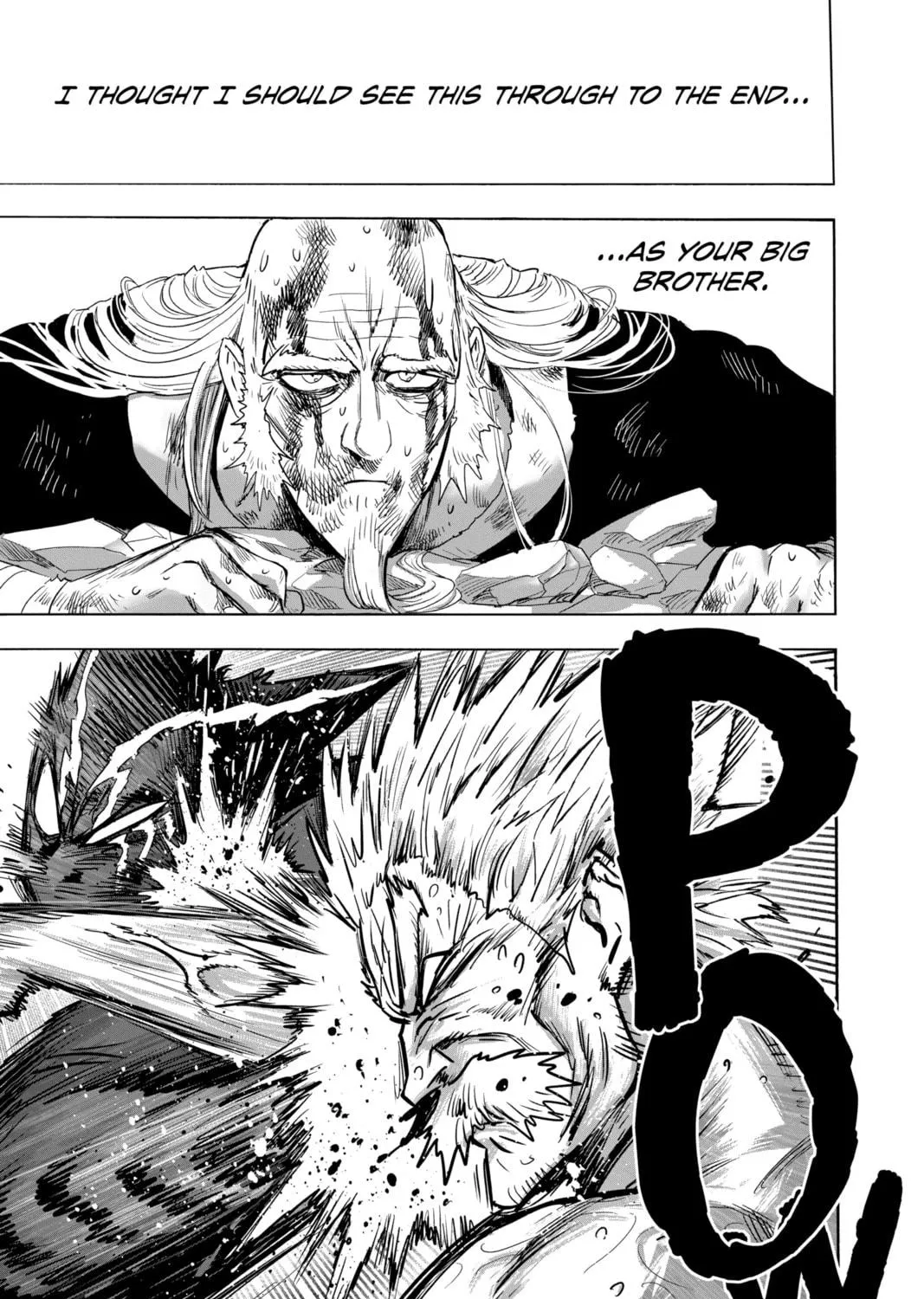 Read One-Punch Man (Official) chapter 155 image 34 on Lezhin