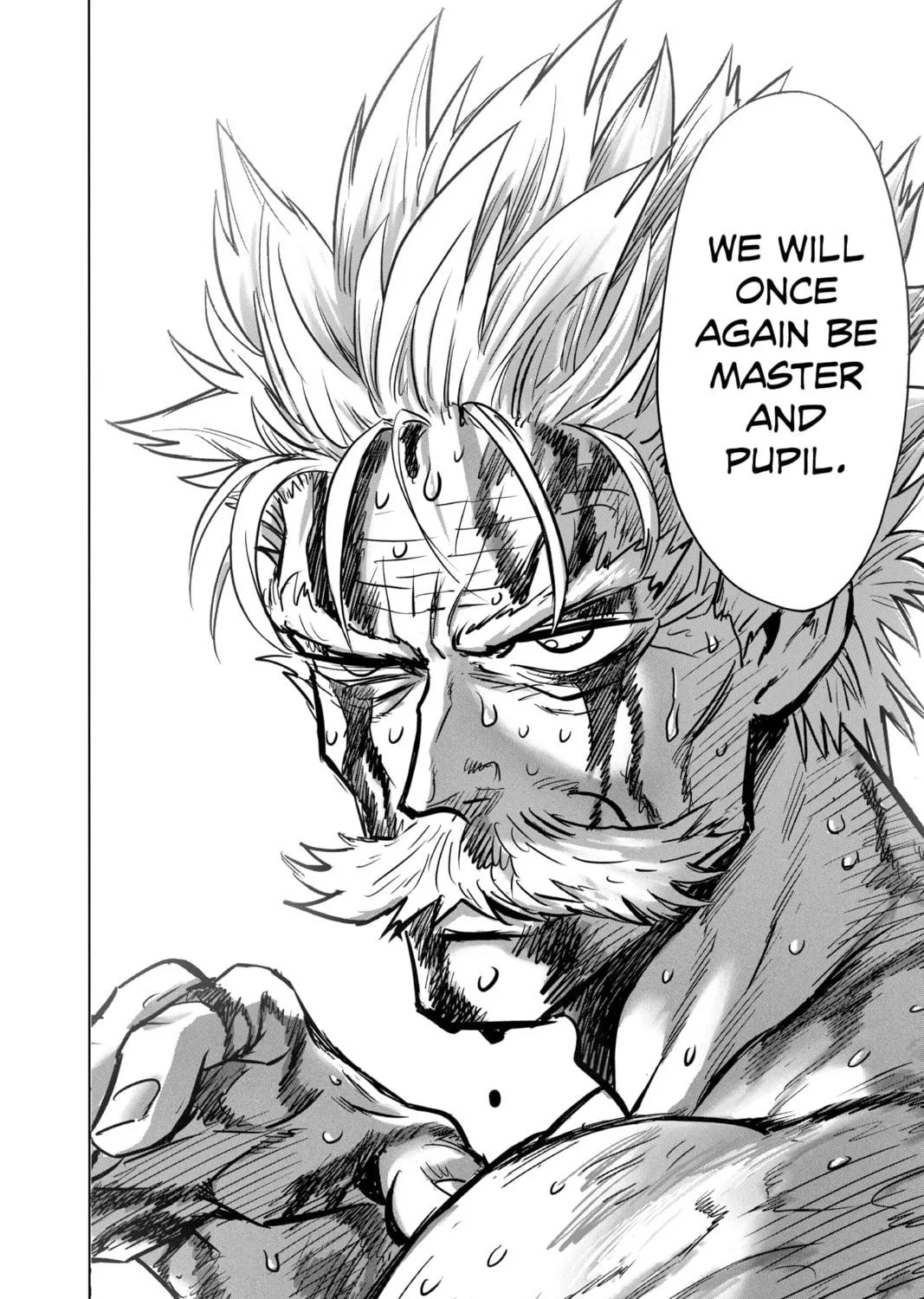 Read One-Punch Man (Official) chapter 155 image 52 on Lezhin