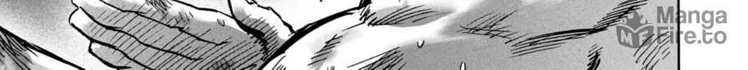 Read One-Punch Man (Official) chapter 155 image 9 on Lezhin