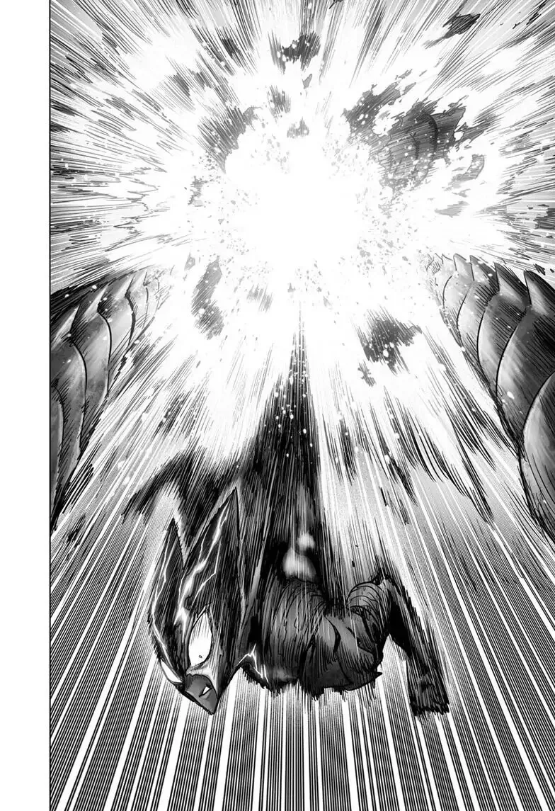 Read One-Punch Man (Official) chapter 157 image 10 on Lezhin