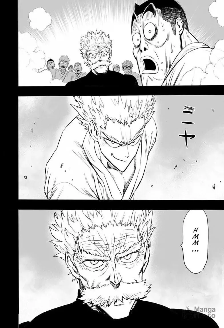 Read One-Punch Man (Official) chapter 157 image 14 on Lezhin