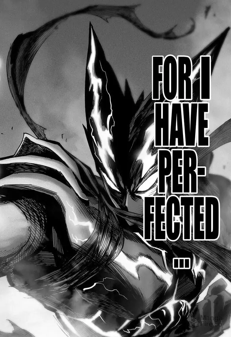 Read One-Punch Man (Official) chapter 157 image 24 on Lezhin