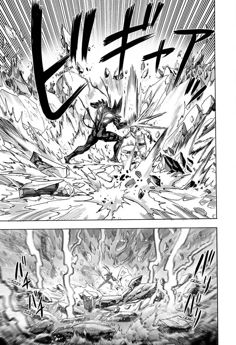 Read One-Punch Man (Official) chapter 160 image 13 on Lezhin