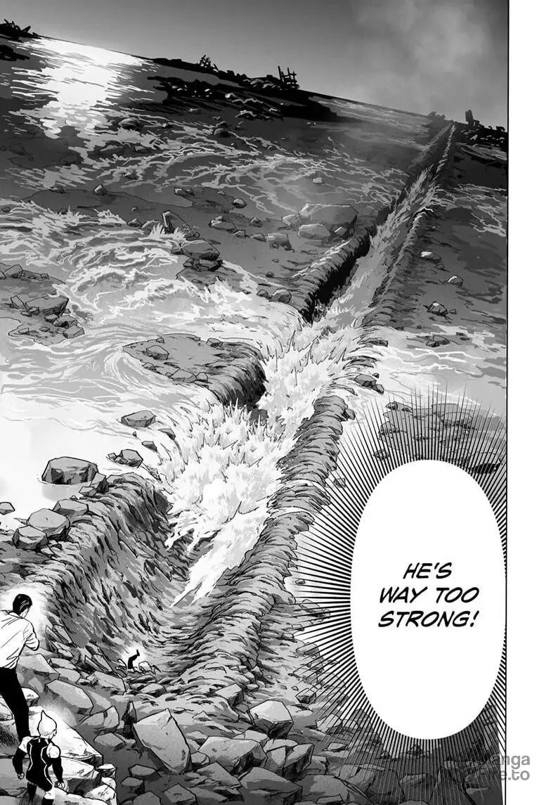 Read One-Punch Man (Official) chapter 160 image 19 on Lezhin