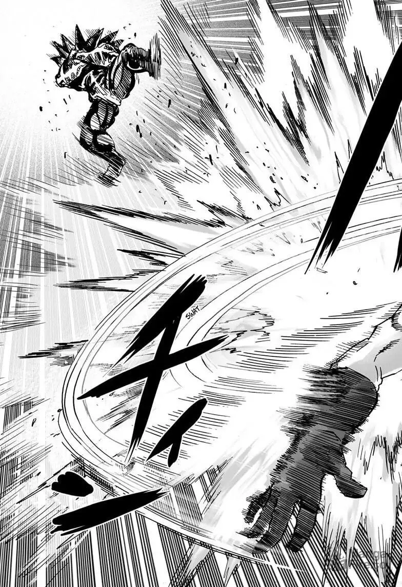 Read One-Punch Man (Official) chapter 160 image 41 on Lezhin