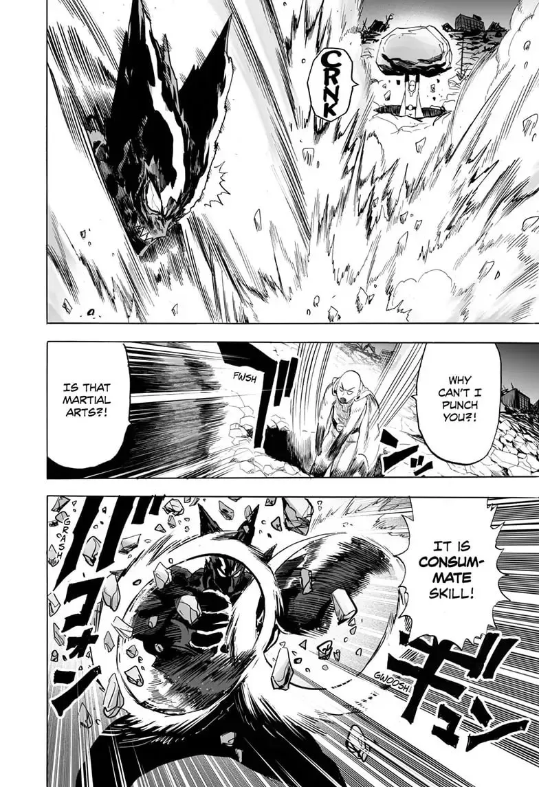 Read One-Punch Man (Official) chapter 161 image 10 on Lezhin