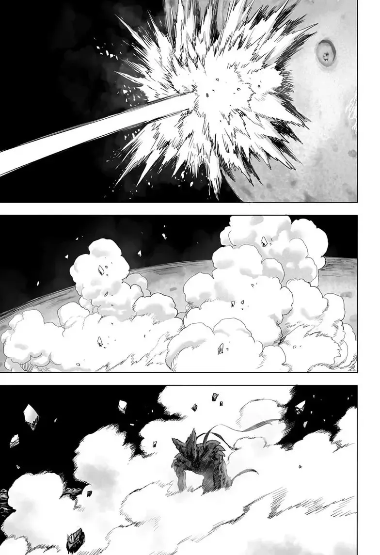 Read One-Punch Man (Official) chapter 165 image 10 on Lezhin