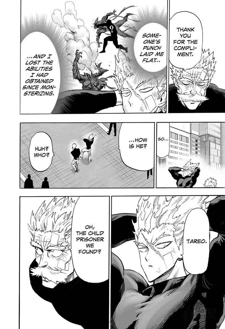 Read One-Punch Man (Official) chapter 168 image 9 on Lezhin