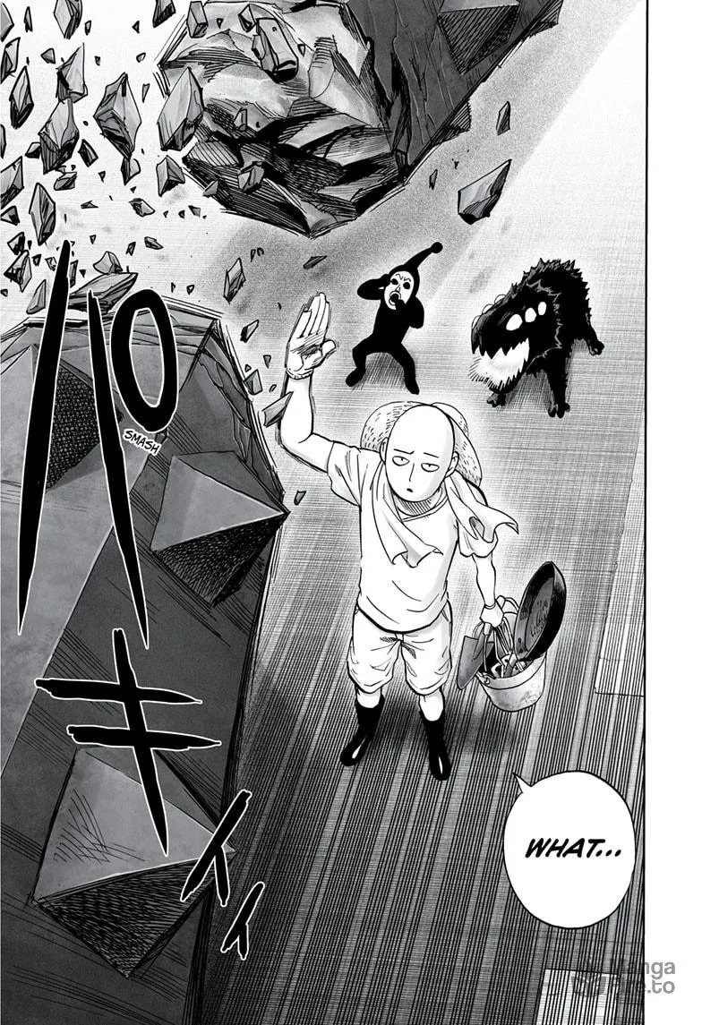 Read One-Punch Man (Official) chapter 170 image 19 on Lezhin