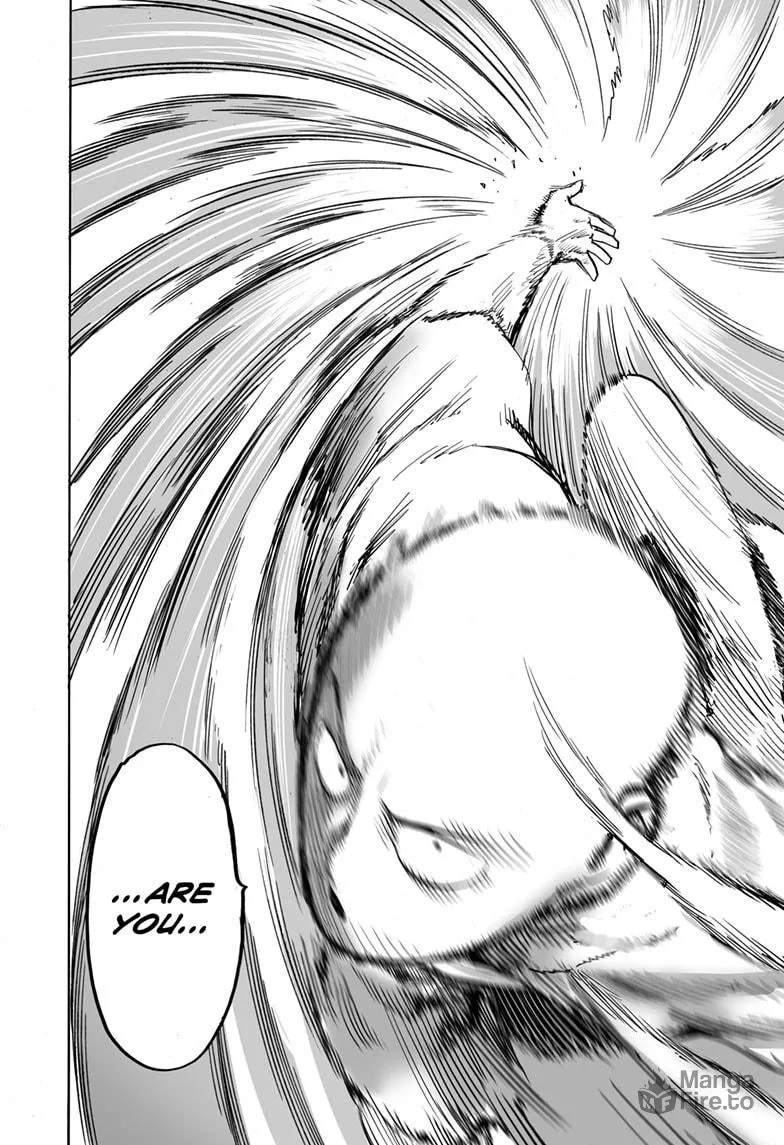 Read One-Punch Man (Official) chapter 170 image 20 on Lezhin