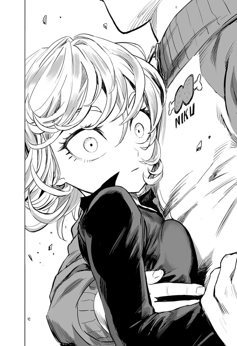 Read One-Punch Man (Official) chapter 176 image 22 on Lezhin