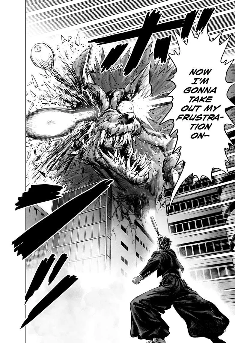 Read One-Punch Man (Official) chapter 178 image 29 on Lezhin