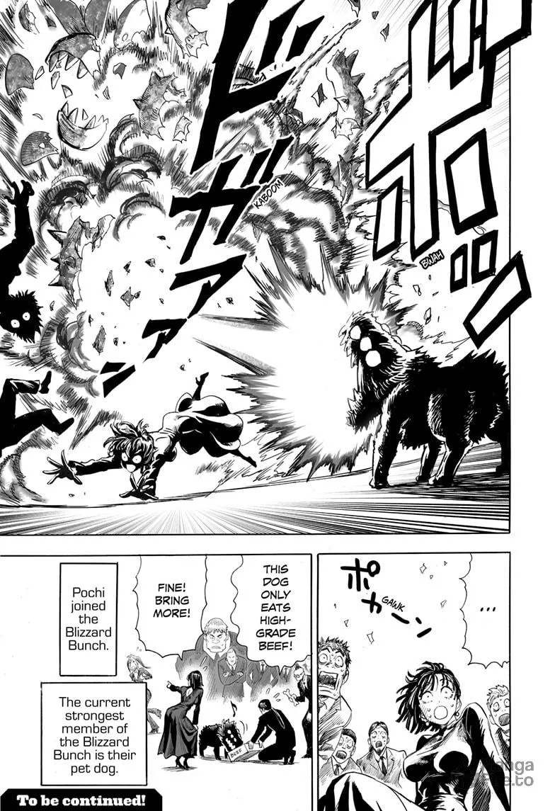 Read One-Punch Man (Official) chapter 190 image 34 on Lezhin