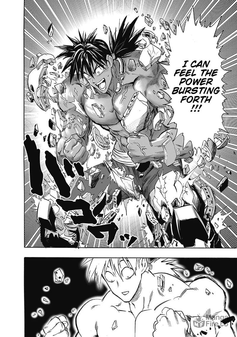 Read One-Punch Man (Official) chapter 202 image 11 on Lezhin