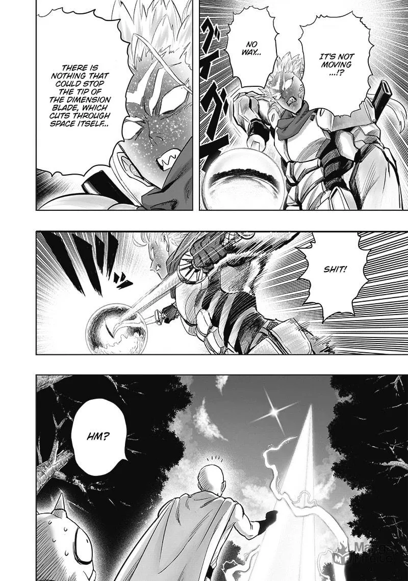 Read One-Punch Man (Official) chapter 209 image 9 on Lezhin