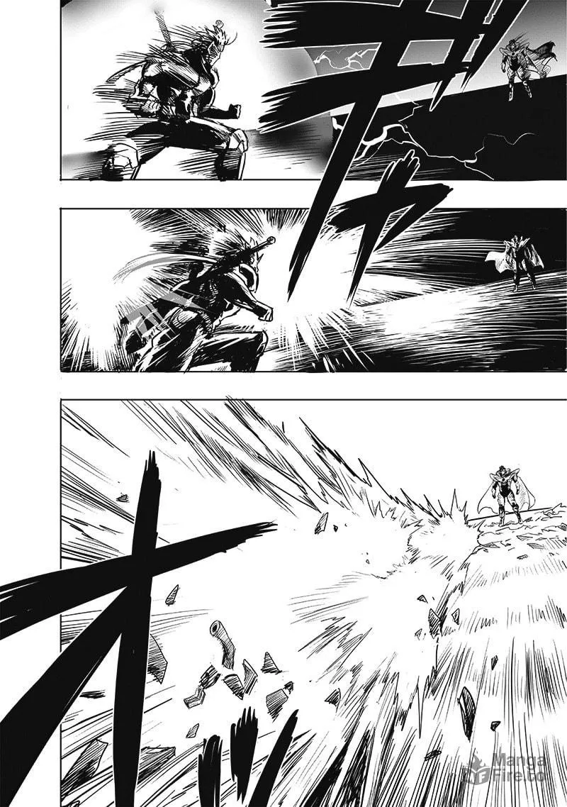 Read One-Punch Man (Official) chapter 211 image 9 on Lezhin