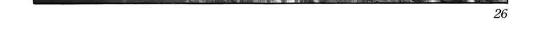Read One-Punch Man (Official) chapter 35 image 37 on Lezhin