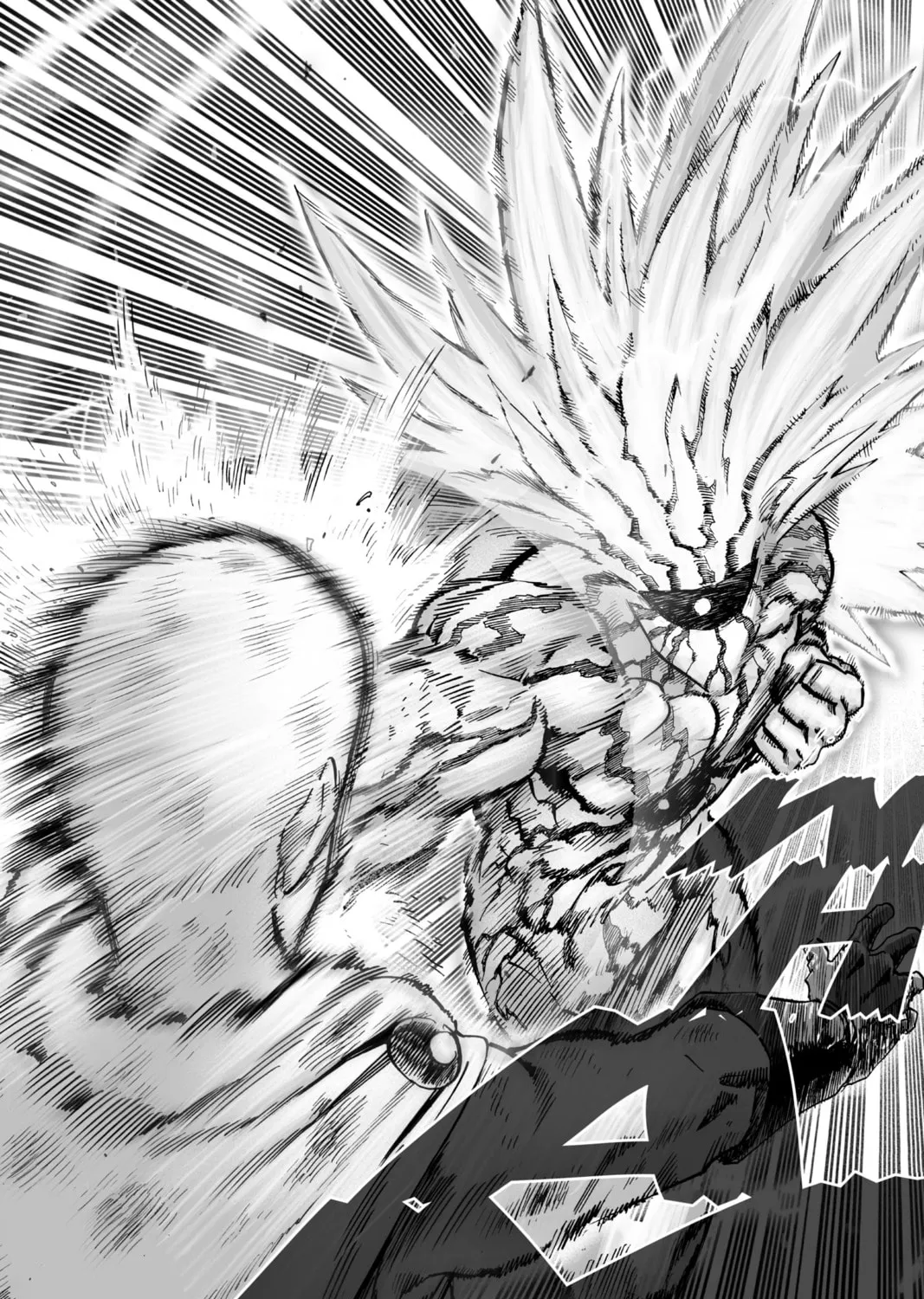 Read One-Punch Man (Official) chapter 36 image 14 on Lezhin