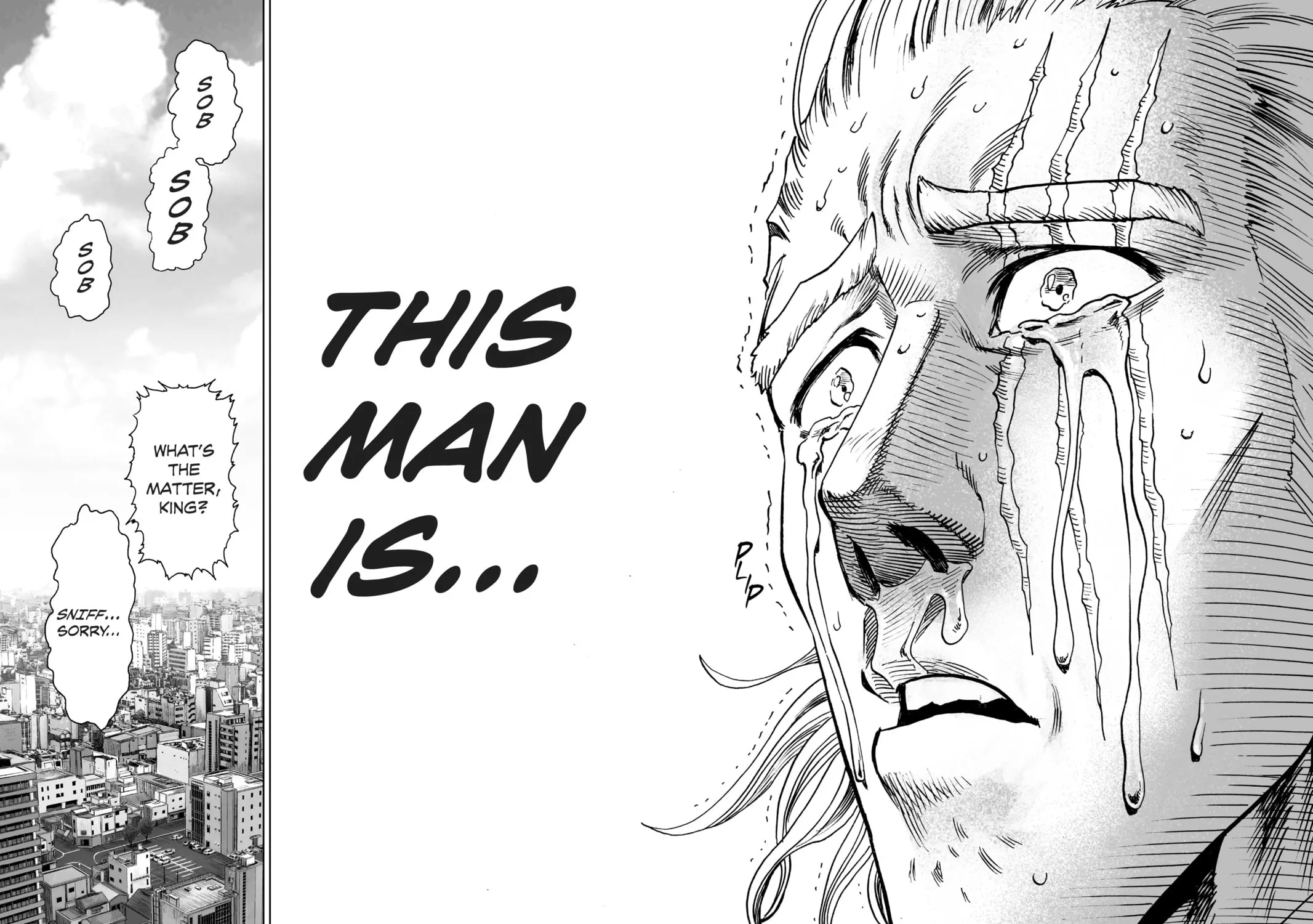 Read One-Punch Man (Official) chapter 39 image 34 on Lezhin
