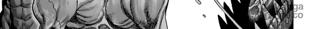 Read One-Punch Man (Official) chapter 39 image 5 on Lezhin