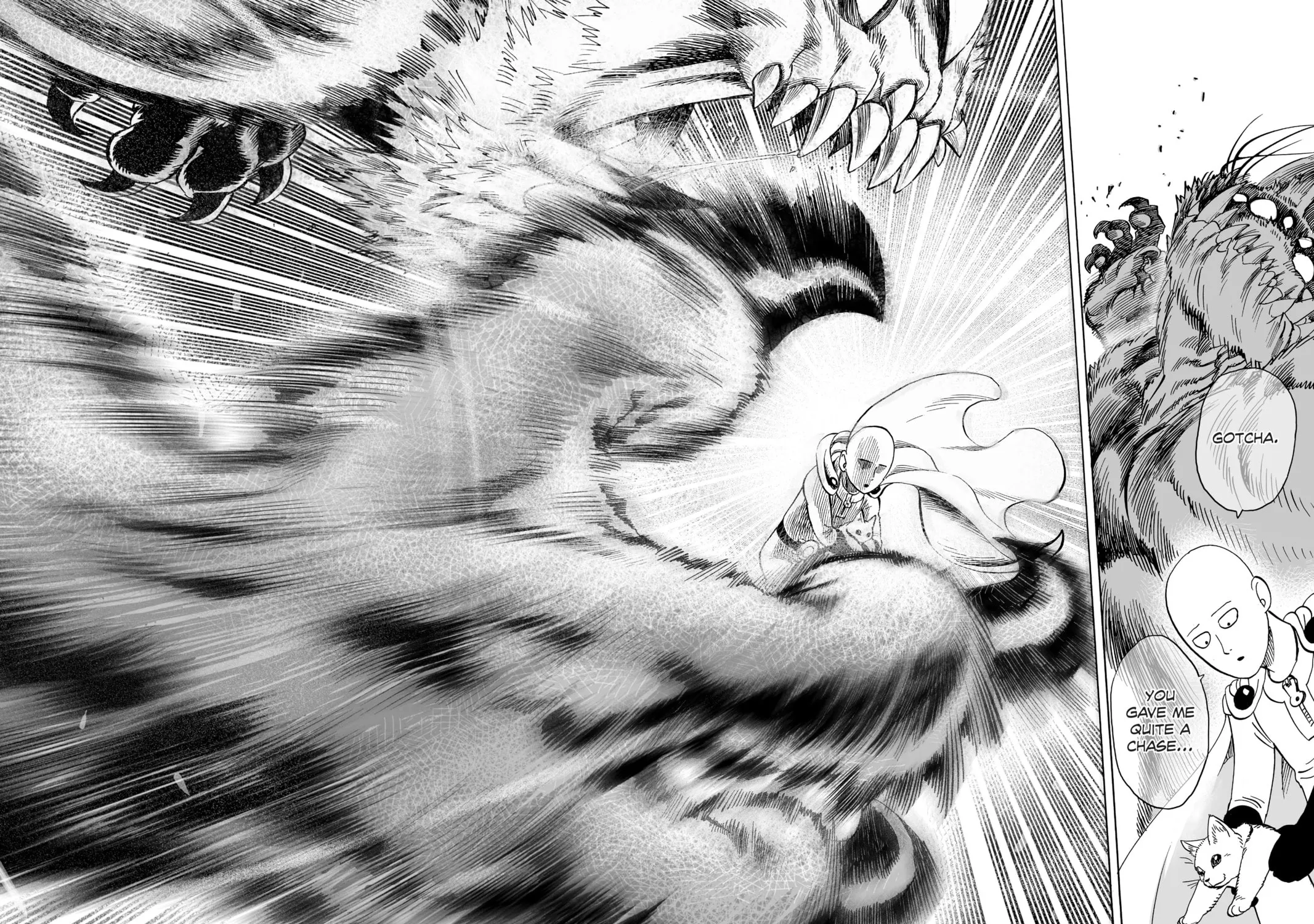 Read One-Punch Man (Official) chapter 40.5 image 54 on Lezhin