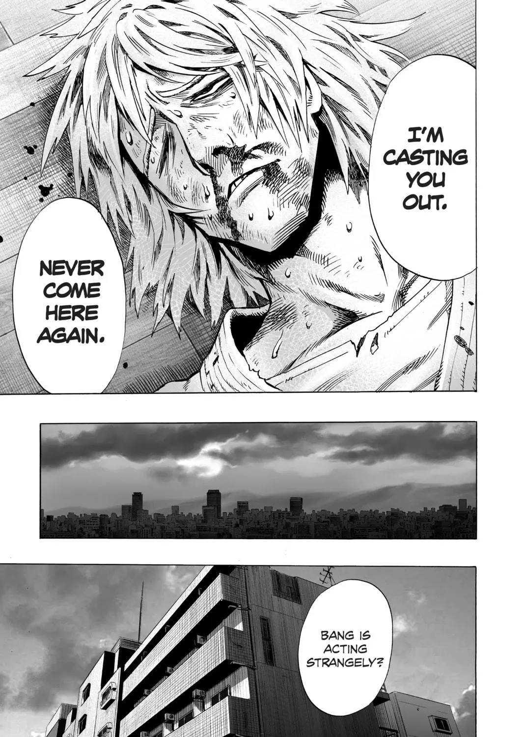 Read One-Punch Man (Official) chapter 46 image 4 on Lezhin