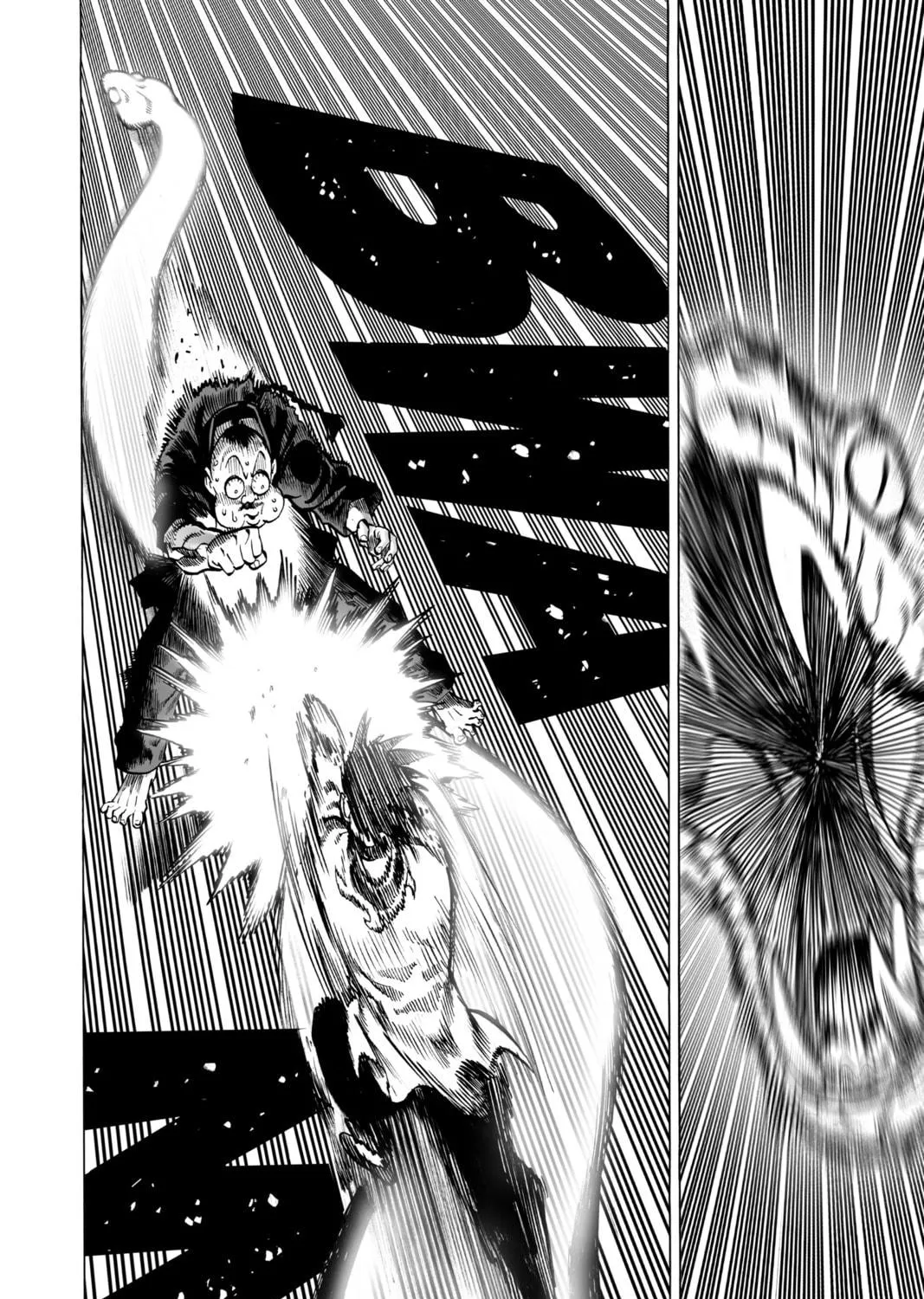 Read One-Punch Man (Official) chapter 63 image 8 on Lezhin