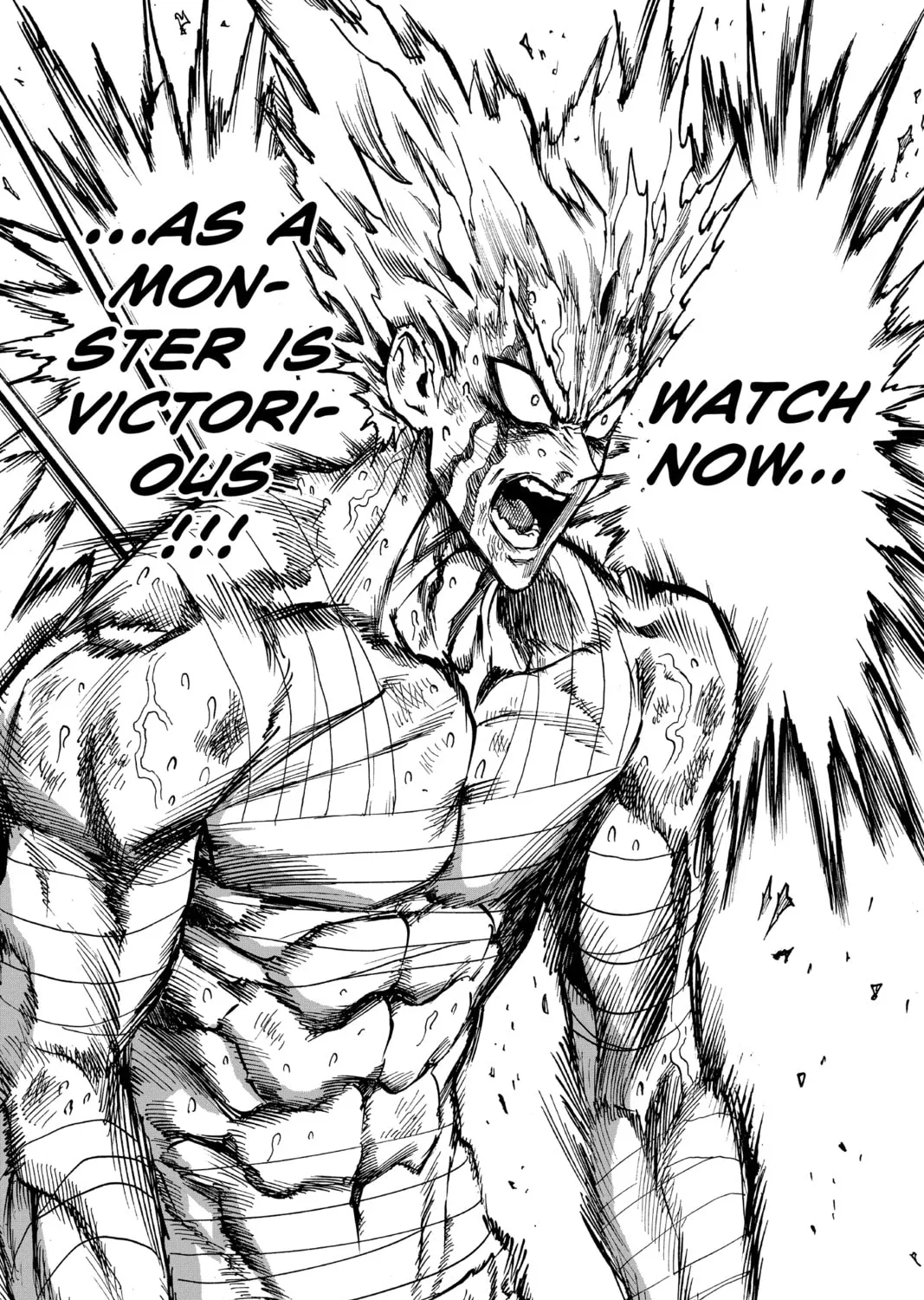 Read One-Punch Man (Official) chapter 82 image 80 on Lezhin