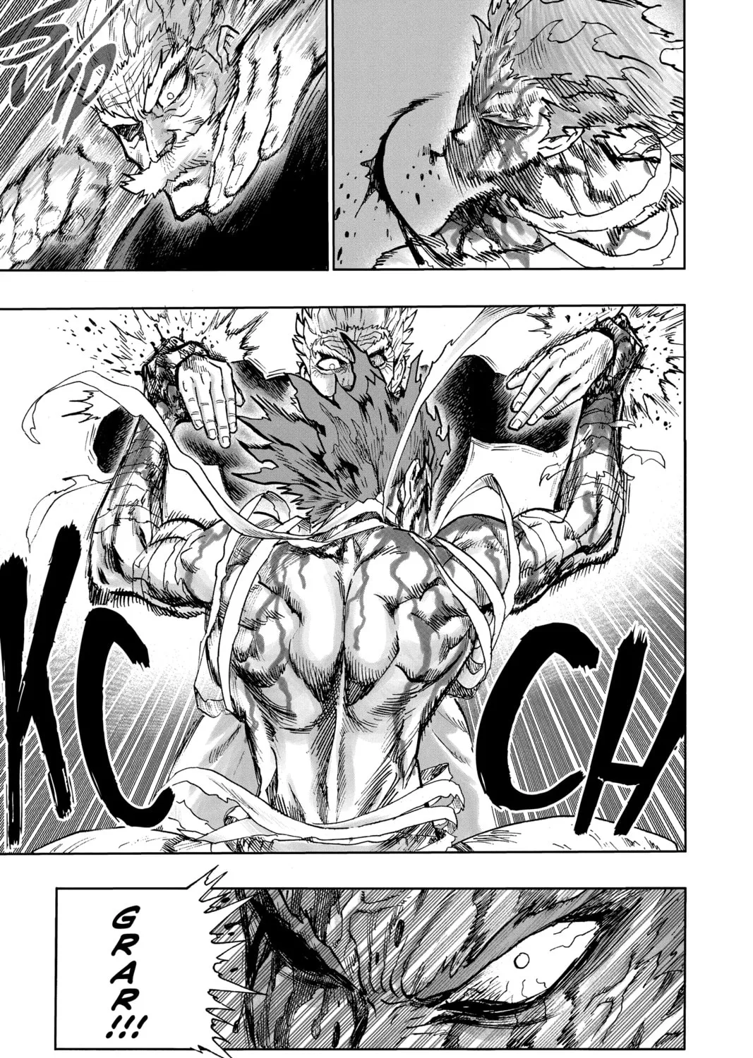 Read One-Punch Man (Official) chapter 84 image 12 on Lezhin