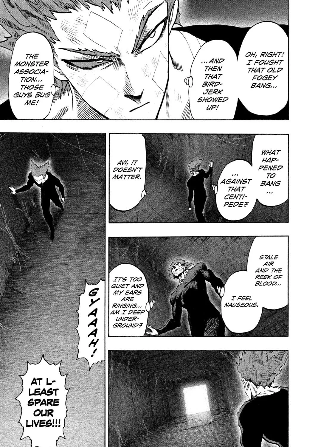 Read One-Punch Man (Official) chapter 87 image 8 on Lezhin