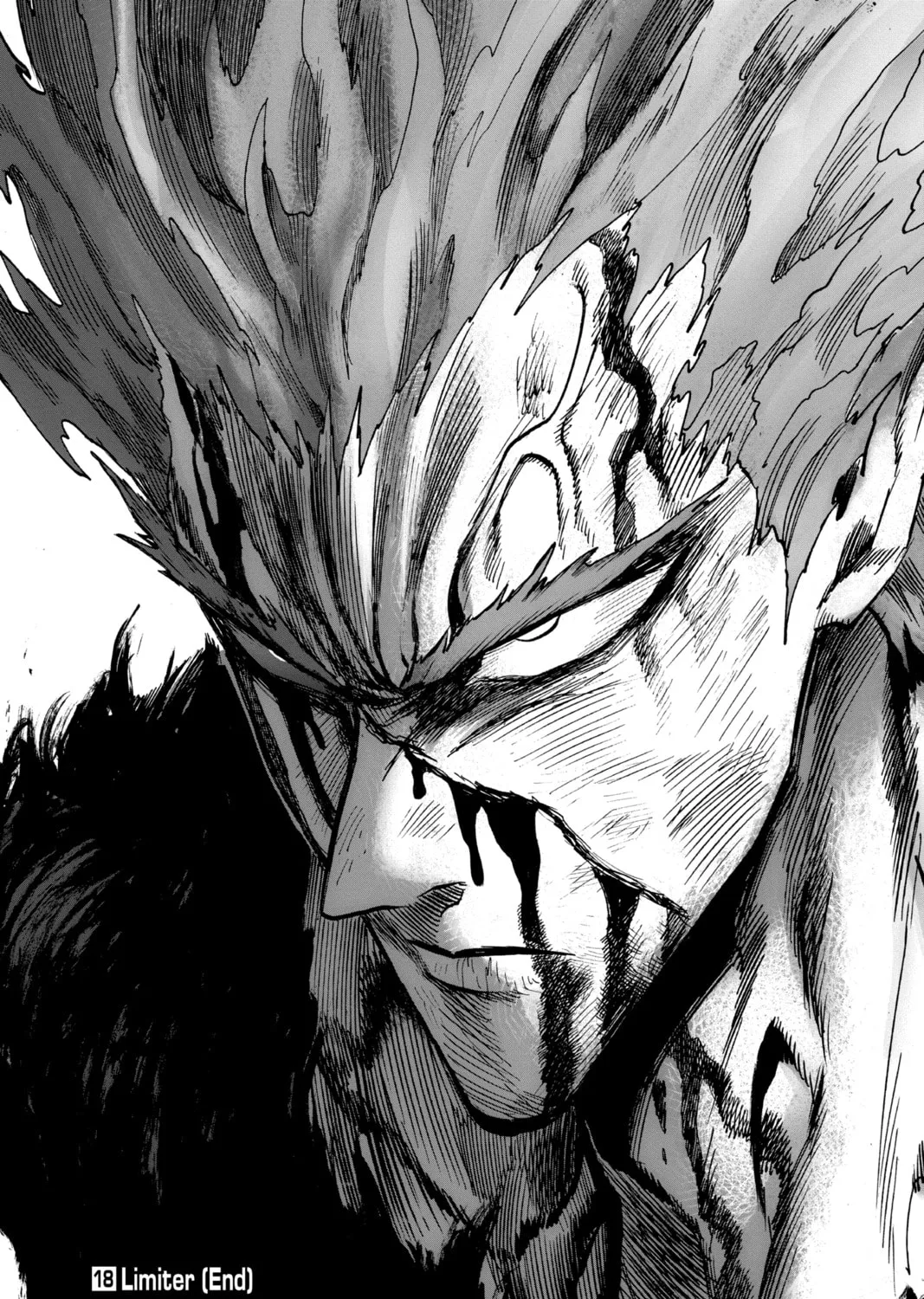 Read One-Punch Man (Official) chapter 90 image 150 on Lezhin