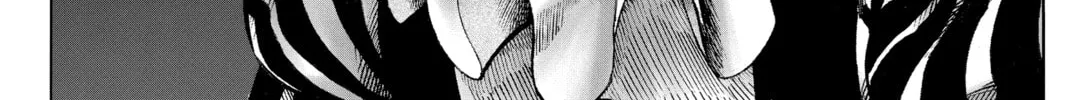 Read One-Punch Man (Official) chapter 96.5 image 3 on Lezhin