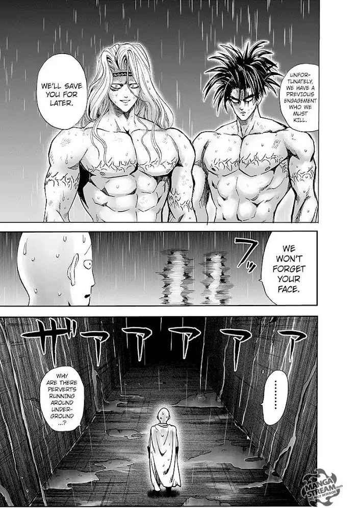 Read One Punch Man chapter 100.2 image 24 on Lezhin