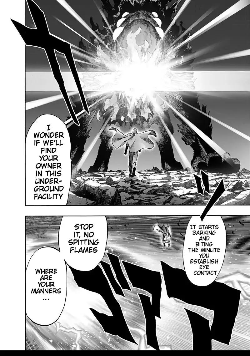 Read One Punch Man chapter 106.1 image 17 on Lezhin