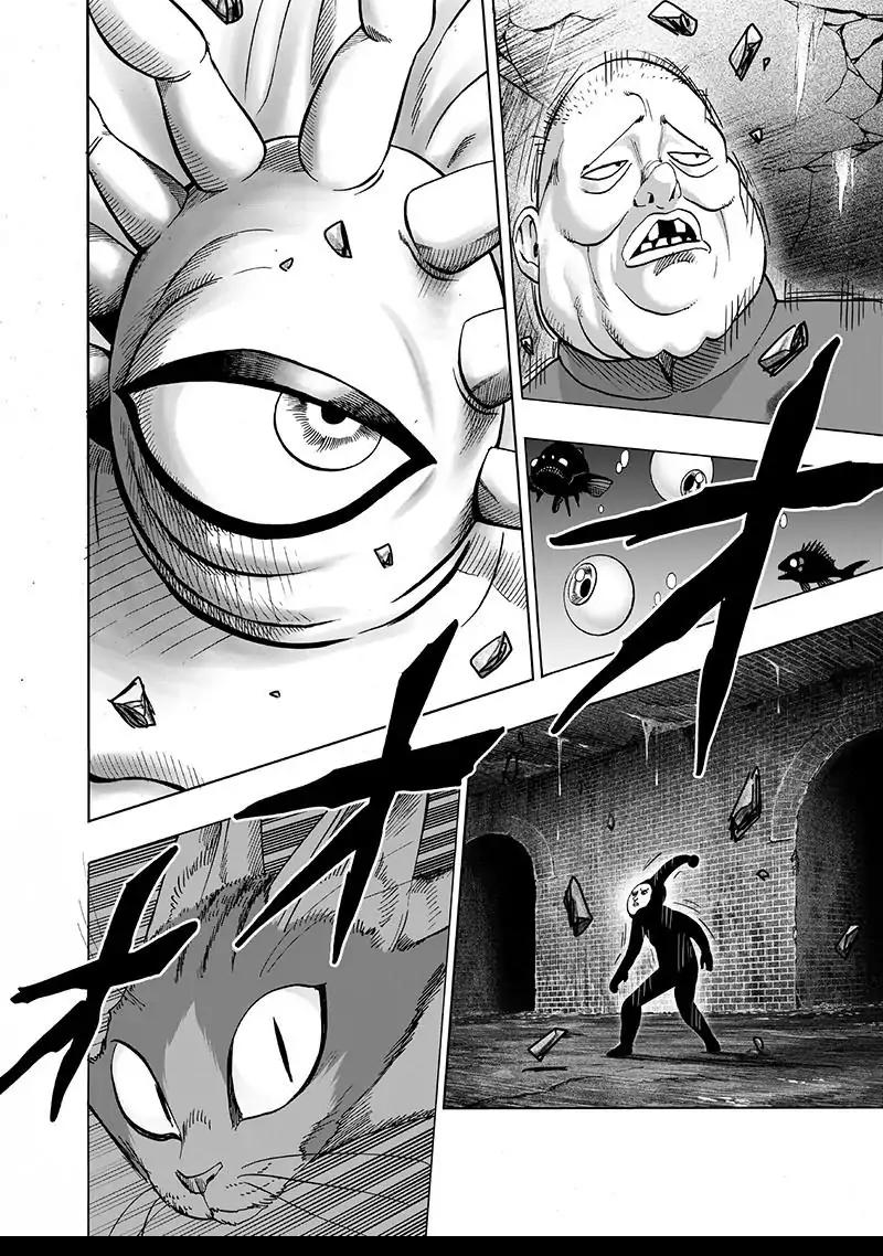 Read One Punch Man chapter 106.1 image 23 on Lezhin