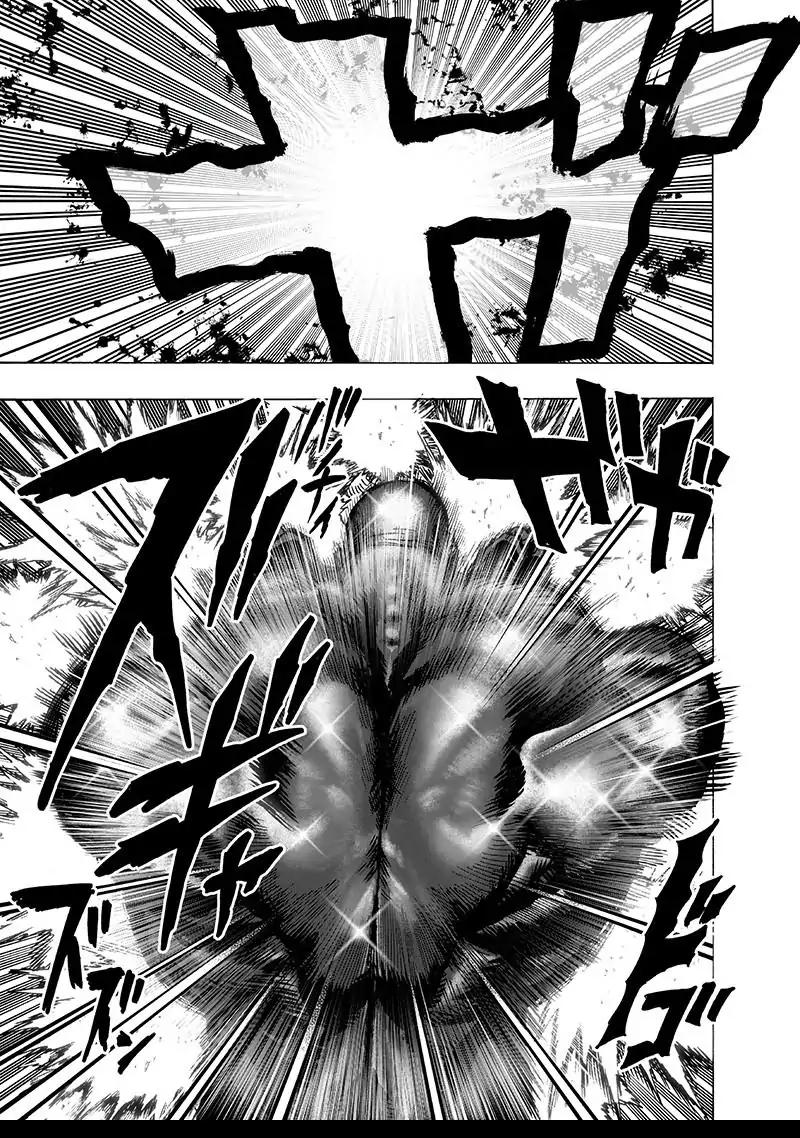Read One Punch Man chapter 106.1 image 3 on Lezhin
