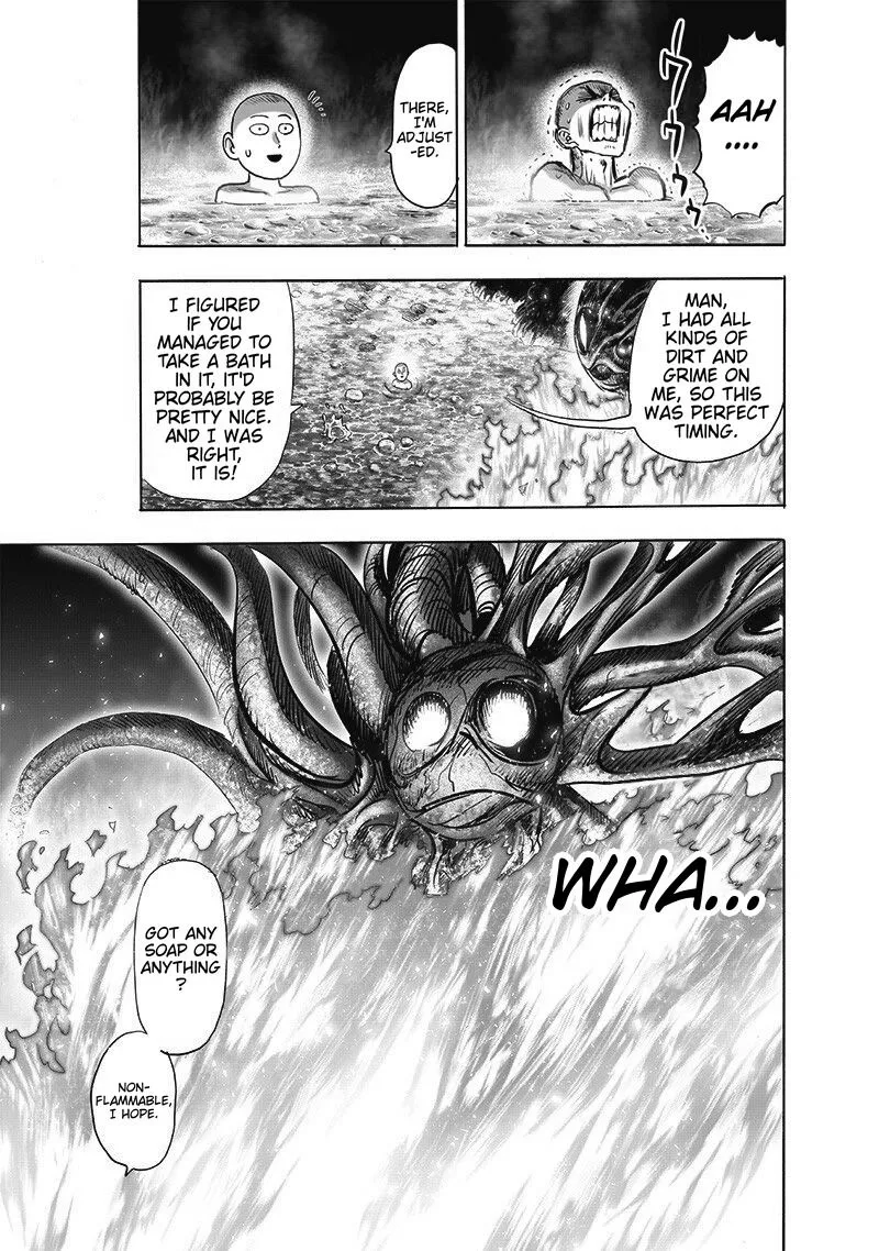 Read One Punch Man chapter 108.5 image 21 on Lezhin
