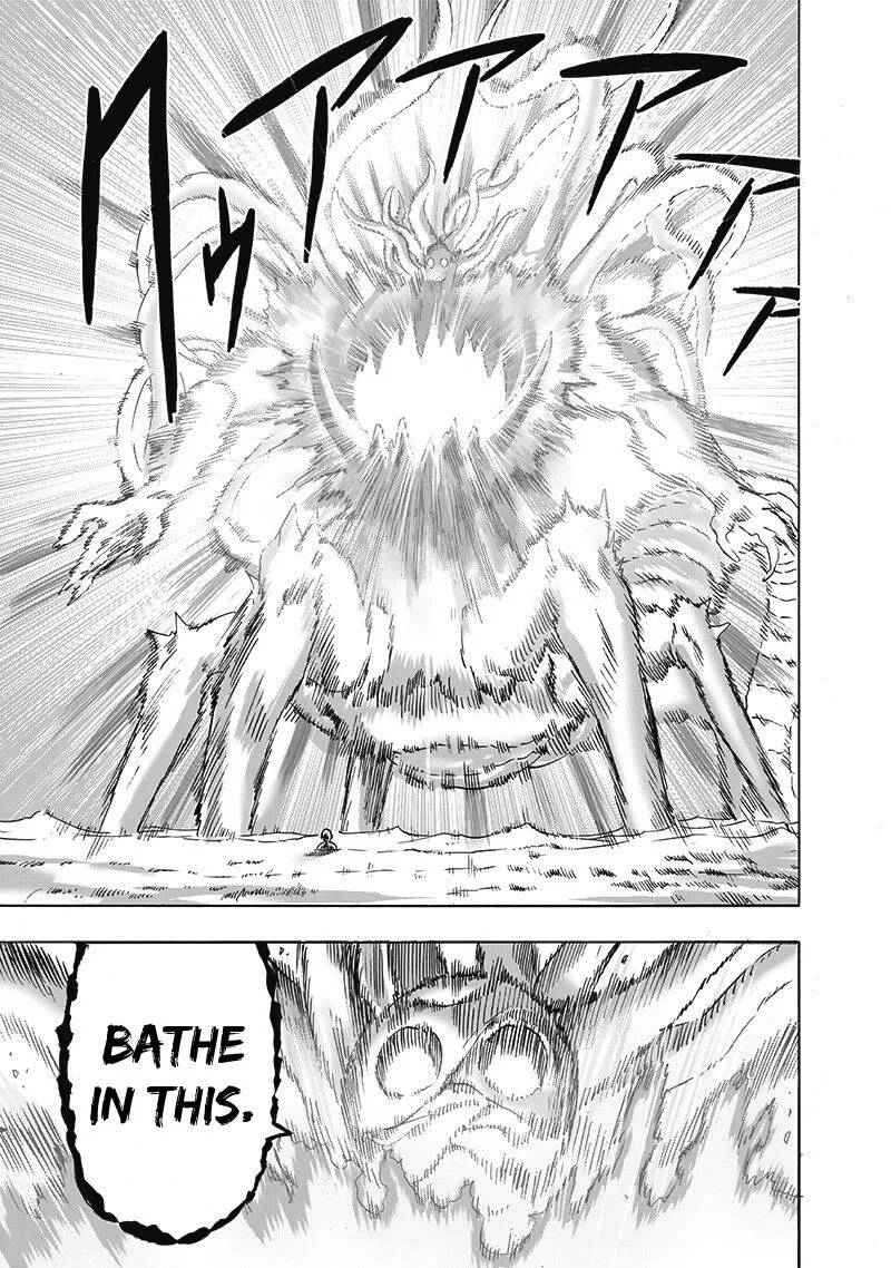 Read One Punch Man chapter 108.5 image 29 on Lezhin