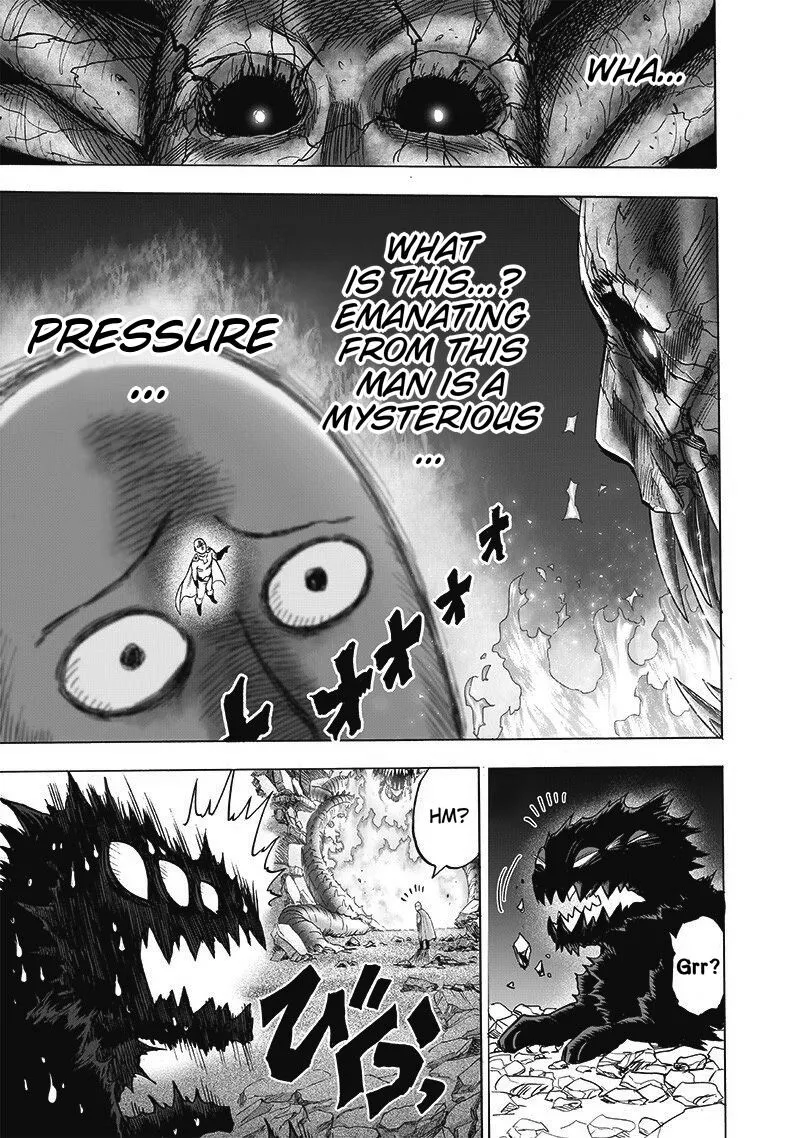 Read One Punch Man chapter 108.5 image 4 on Lezhin