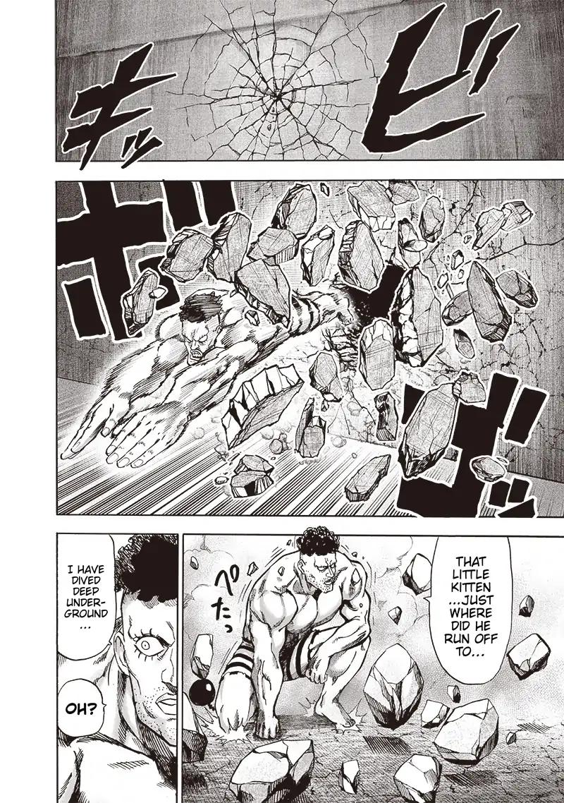 Read One Punch Man chapter 115.1 image 2 on Lezhin