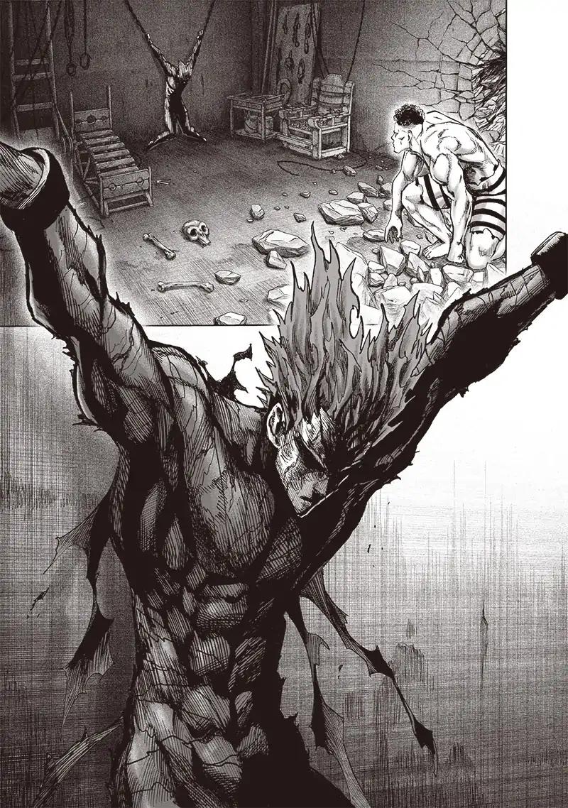 Read One Punch Man chapter 115.1 image 3 on Lezhin