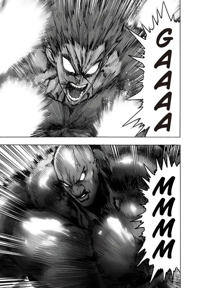 Read One Punch Man chapter 126.2 image 1 on Lezhin