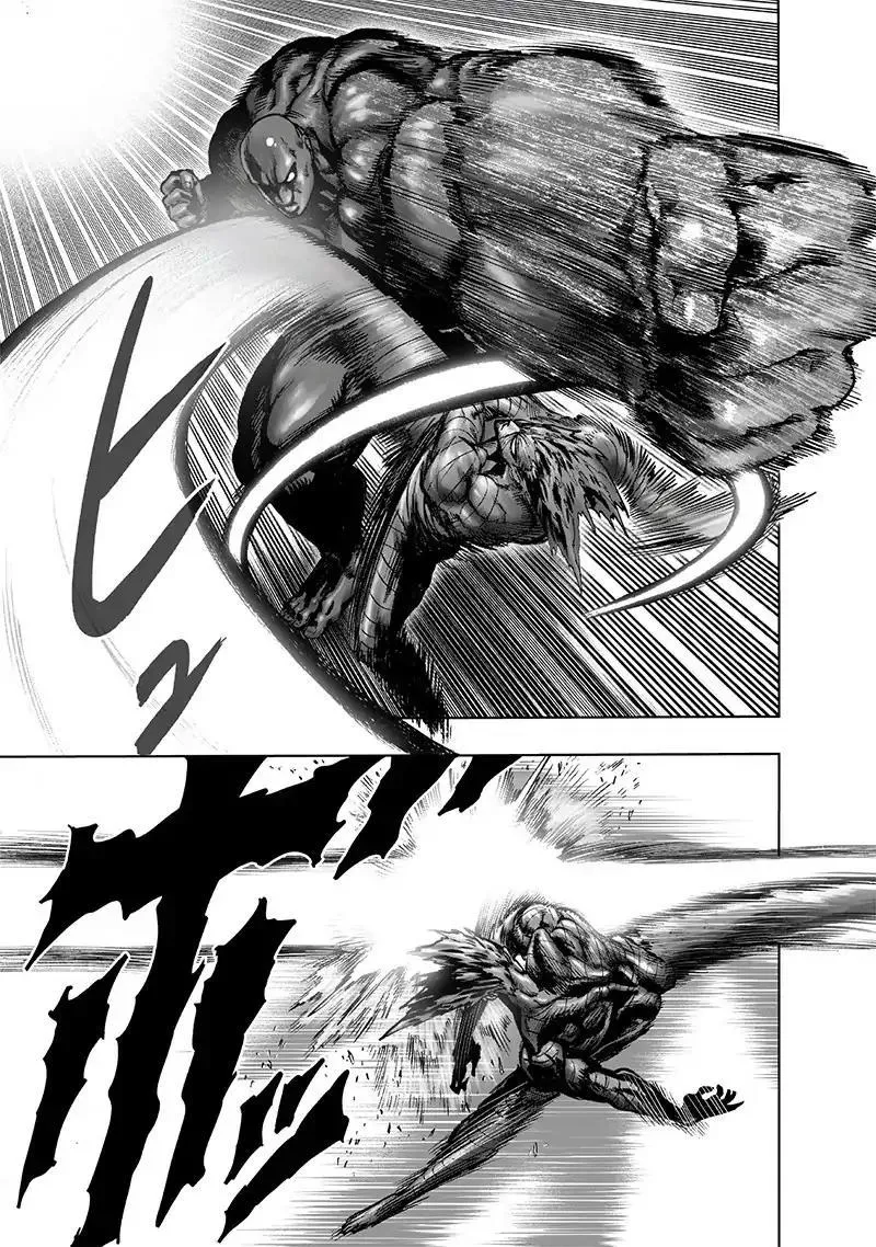 Read One Punch Man chapter 126.2 image 12 on Lezhin