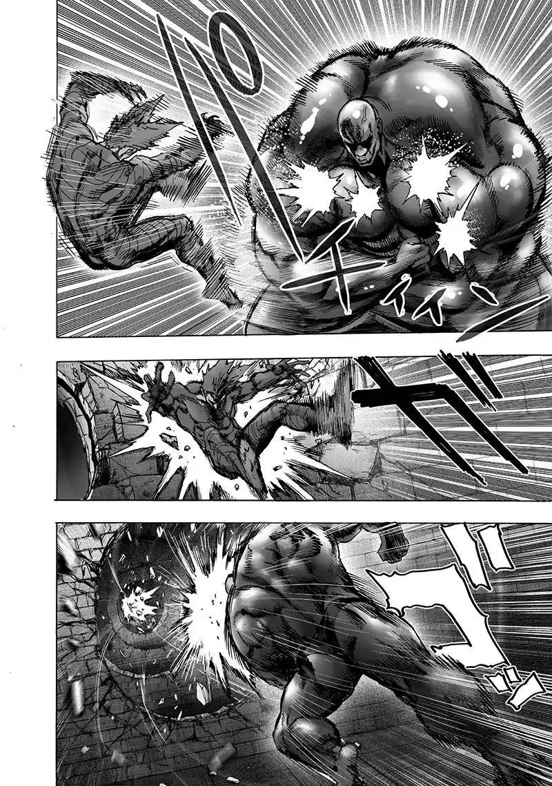 Read One Punch Man chapter 126.2 image 3 on Lezhin