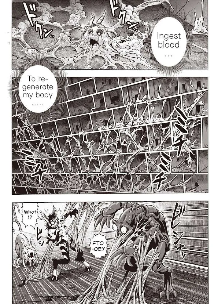 Read One Punch Man chapter 127.2 image 18 on Lezhin