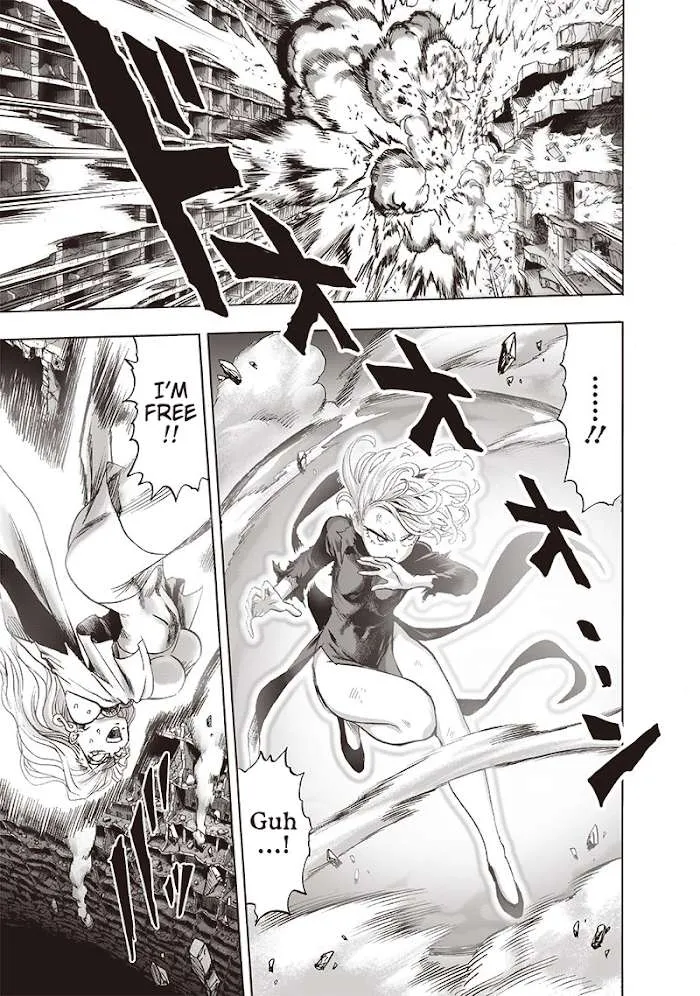 Read One Punch Man chapter 127.2 image 30 on Lezhin
