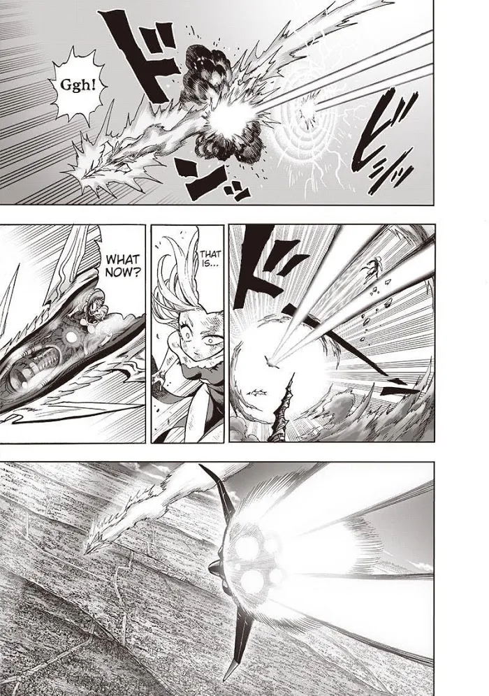 Read One Punch Man chapter 134.2 image 13 on Lezhin