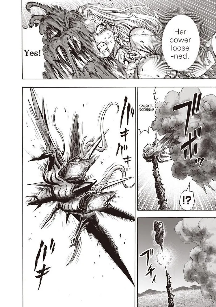 Read One Punch Man chapter 134.2 image 3 on Lezhin